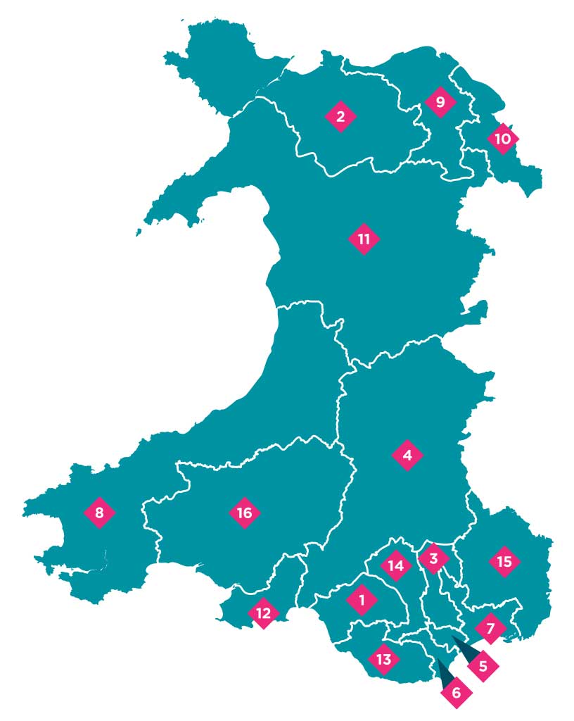 New Wales Senedd 2026 Primary Tracker constituency map