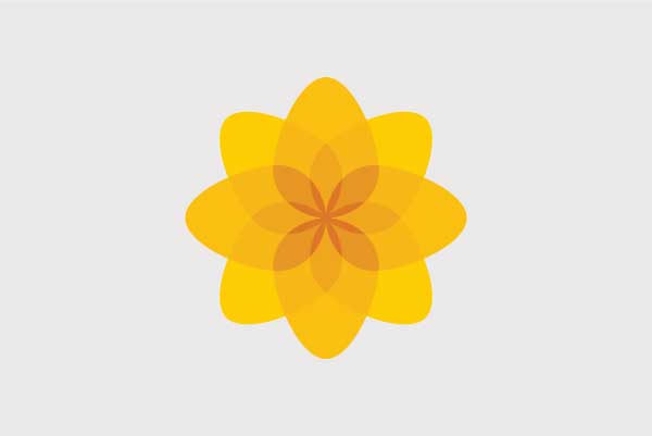 Party logo - Plaid Cymru