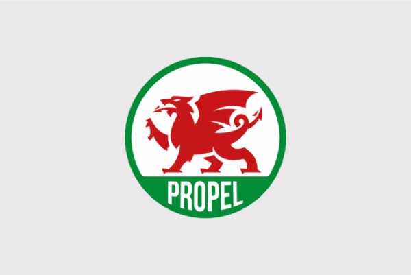 NW_Primaries_party-logo_Propel_white
